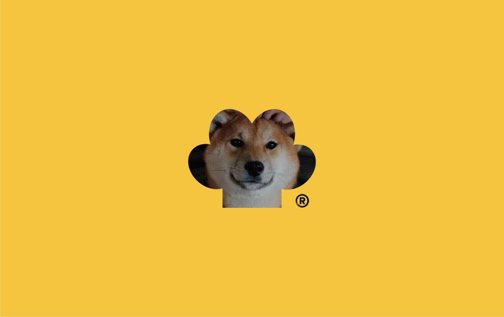 petchef1.png